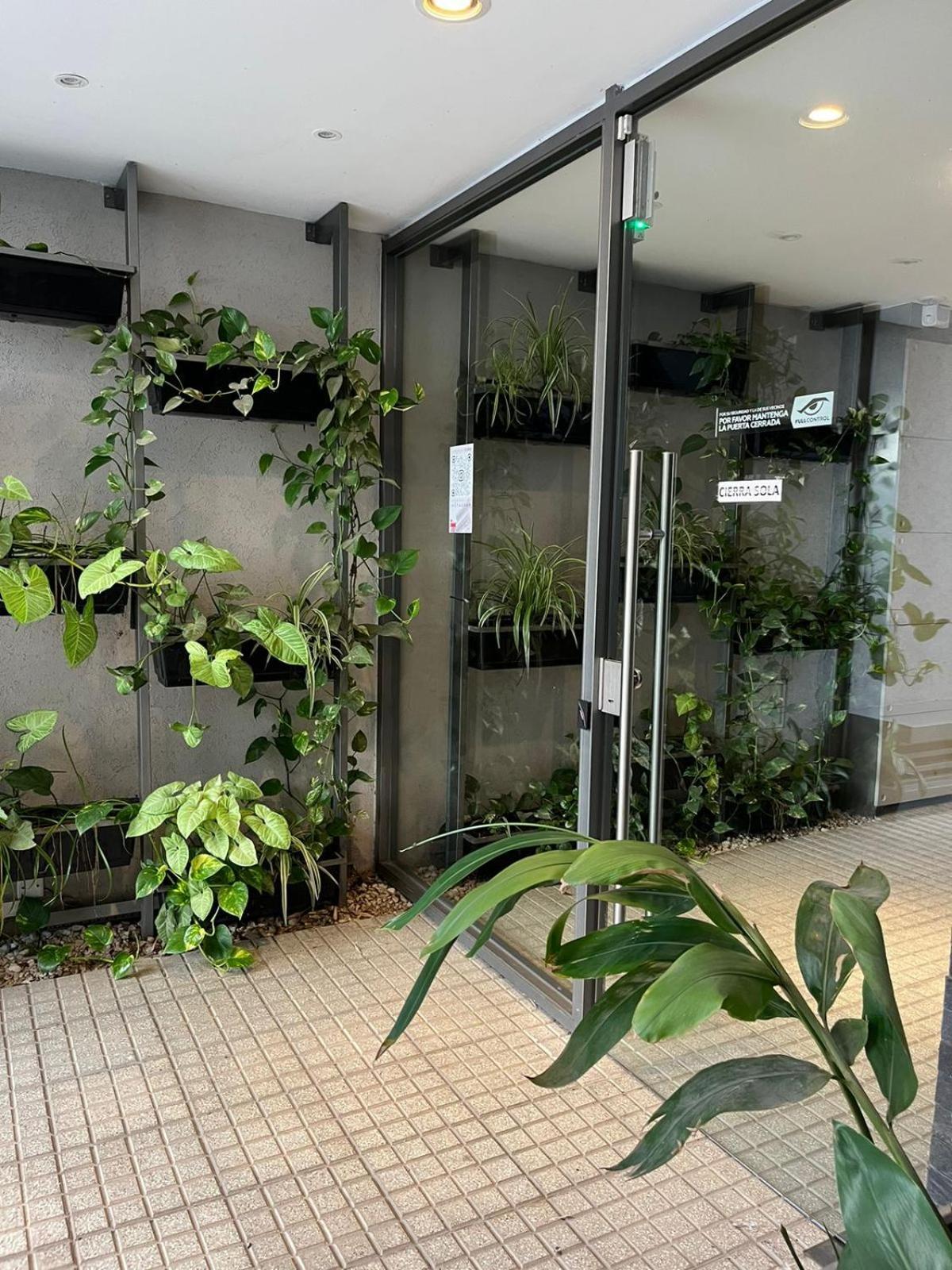Dadelf Apartment